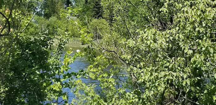 Pigeon Bay Campground Picture 10