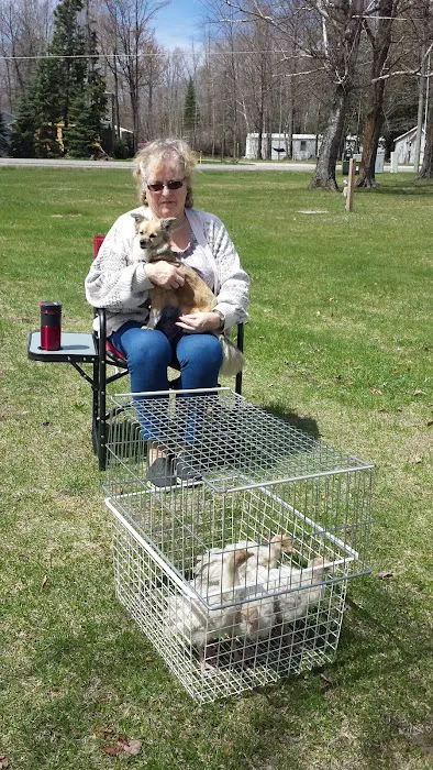 Pigeon Bay Campground Picture 5