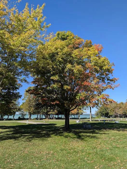 Aloha State Park Campground Picture 3