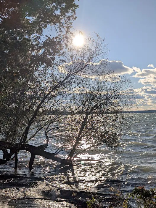 Aloha State Park Campground Picture 10