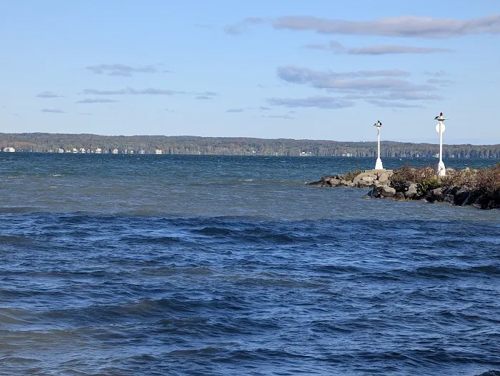 Aloha State Park Campground Picture 7