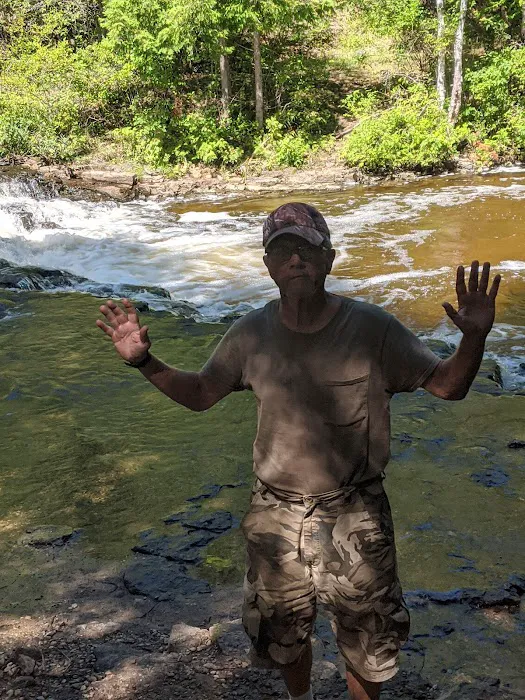 Ocqueoc Falls Campground Picture 1