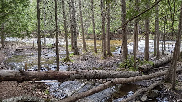 Ocqueoc Falls Campground Picture 4