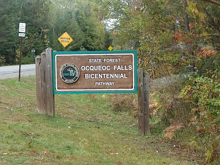 Ocqueoc Falls Campground Picture 8