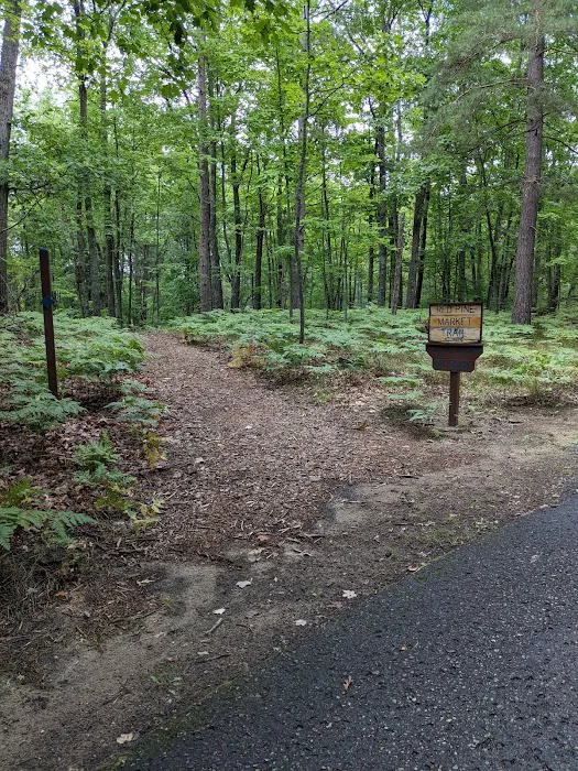 UAW Black Lake Campground Picture 4