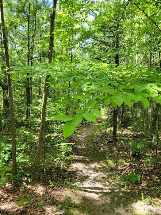 Jewell Lake Campground Picture 9