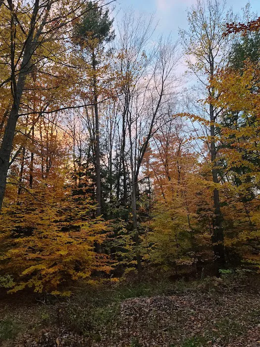 CampDoYaWanna Campground & Party Store Picture 5