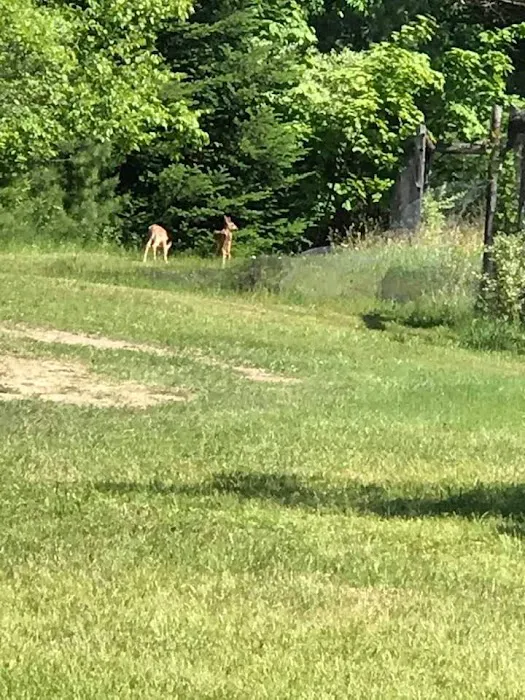 CampDoYaWanna Campground & Party Store Picture 8
