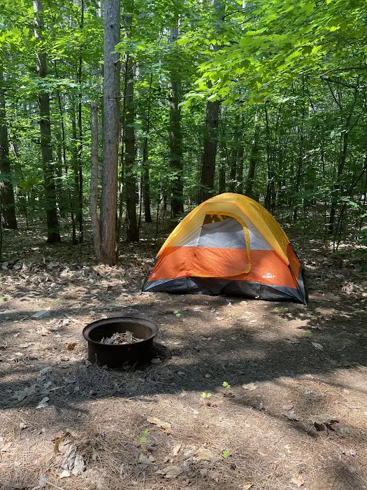 Empire Township Campground Picture 5