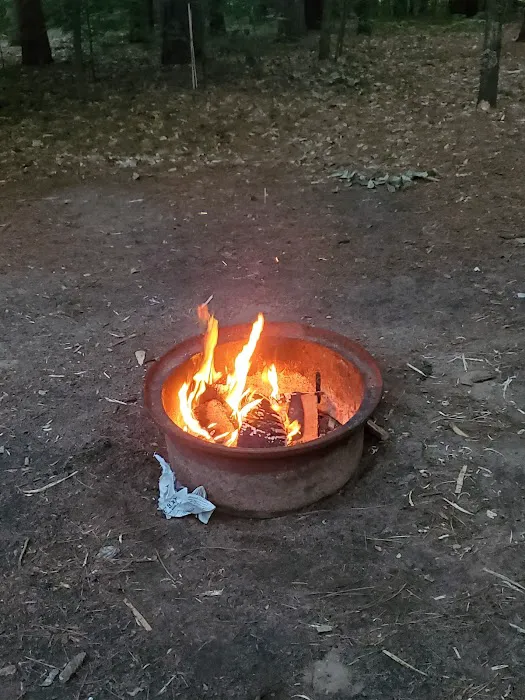 Empire Township Campground Picture 3