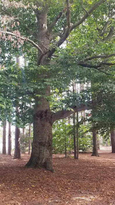 Empire Township Campground Picture 4