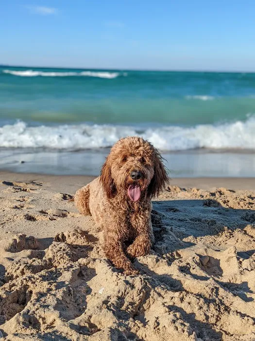 D. H. Day Campground Picture 7