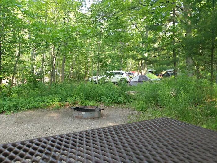 D. H. Day Campground Picture 6