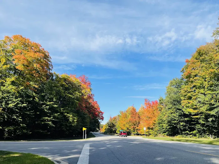D. H. Day Campground Picture 3