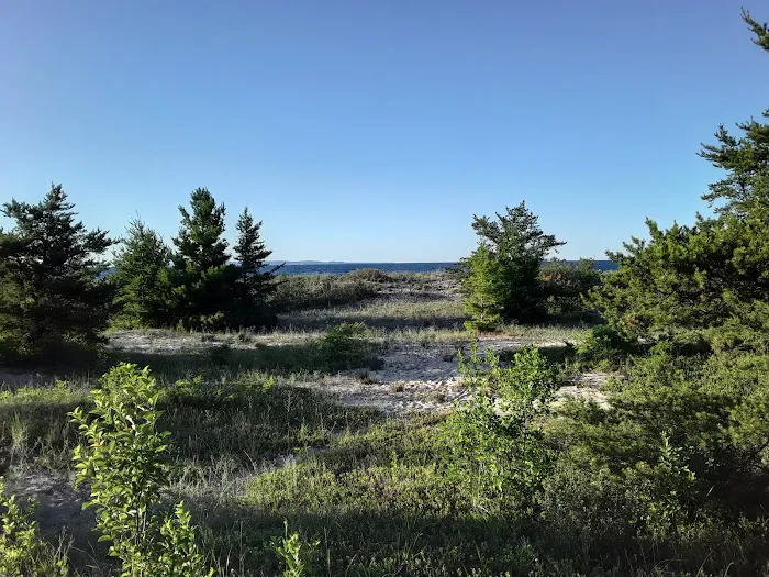 D. H. Day Campground Picture 8