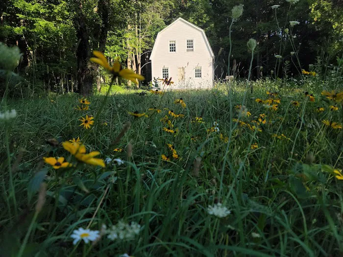 Popple Campground Picture 8