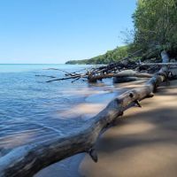 Popple Campground ico