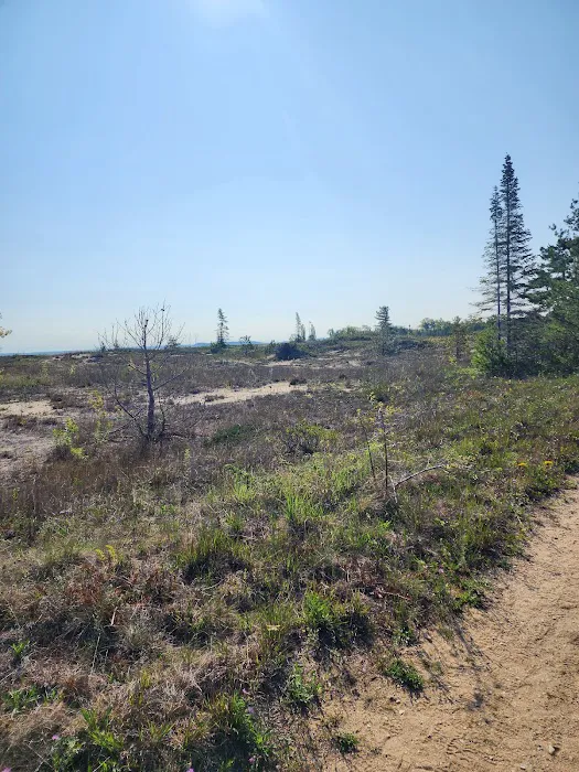 South Manitou Group Campground Picture 7