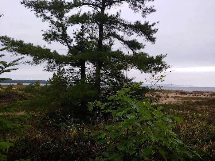 South Manitou Group Campground Picture 3