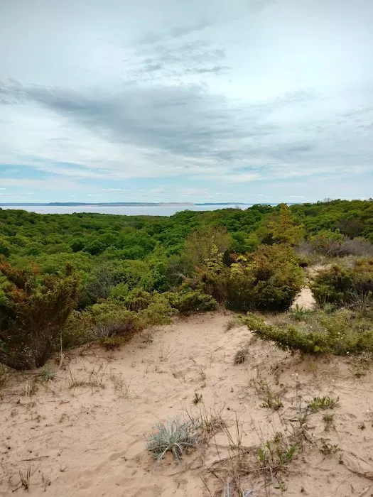 Weather Station Campground Picture 5