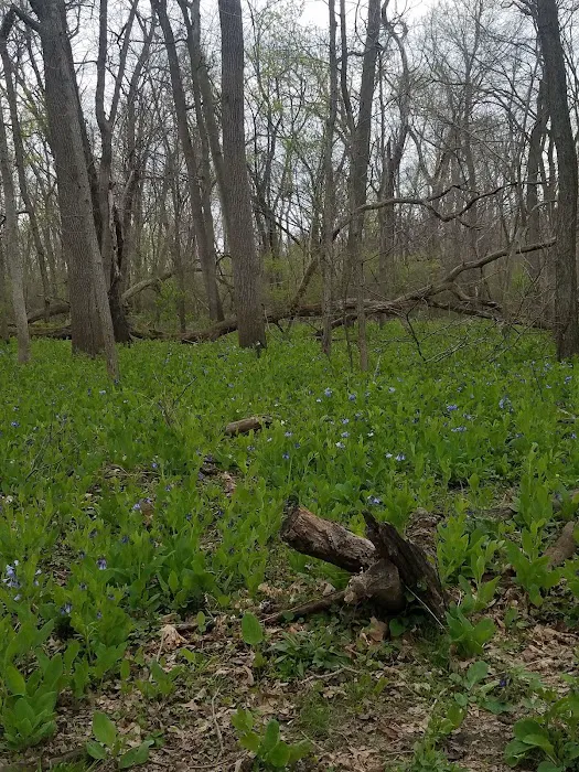 Starved Rock State Park Campground Picture 7