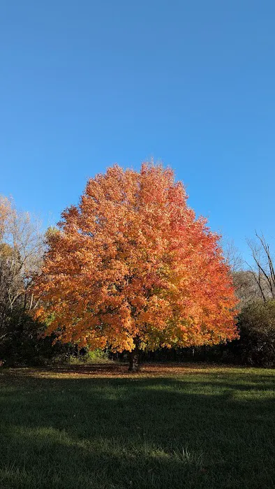 Starved Rock State Park Campground Picture 3