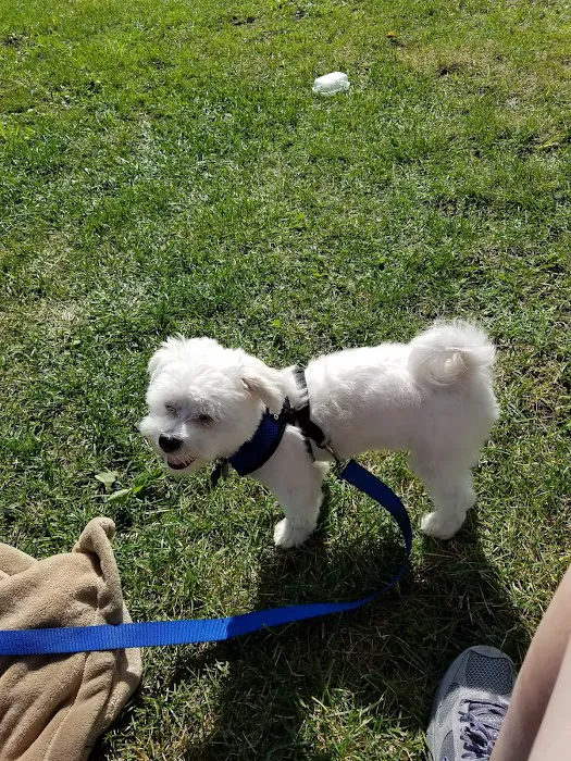 Cozy Corners Campground Picture 10