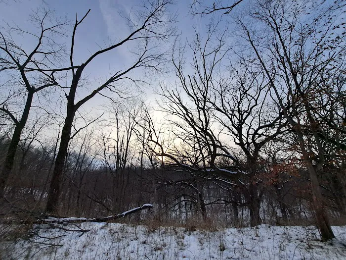 Canvasback Cove Picture 9