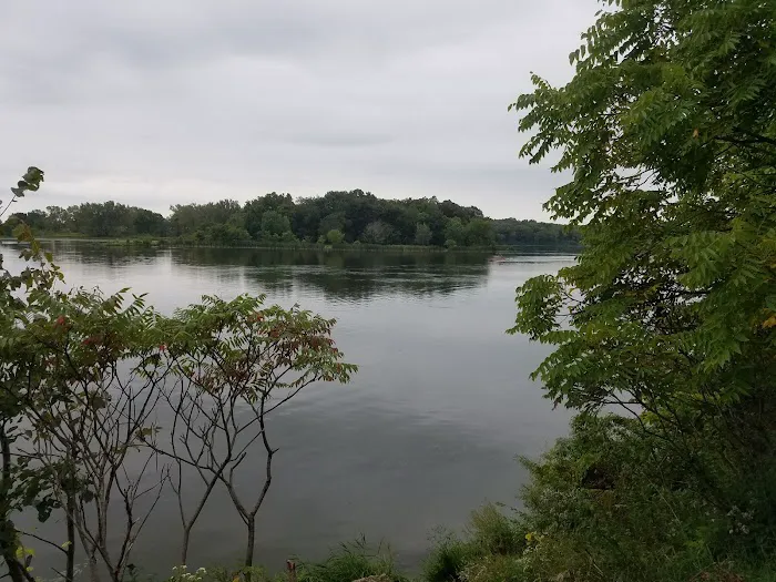 Canvasback Cove Picture 4