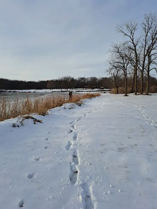 Canvasback Cove Picture 10