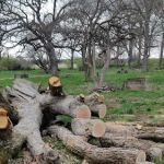Matthiessen State Park Horse Campground