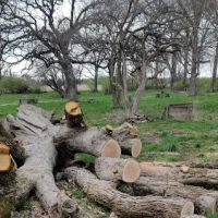 Matthiessen State Park Horse Campground ico