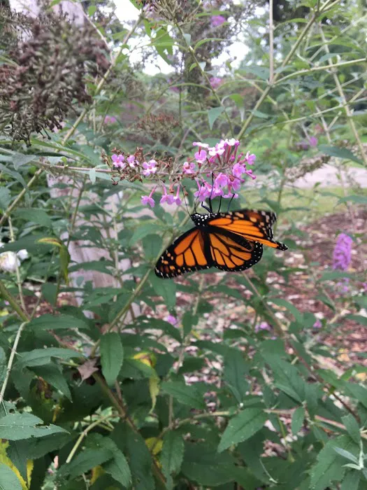 Nature's Way RV Park Picture 3