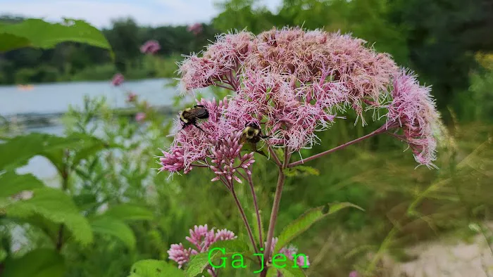 Rock Cut State Park Campground Permit Office Picture 9
