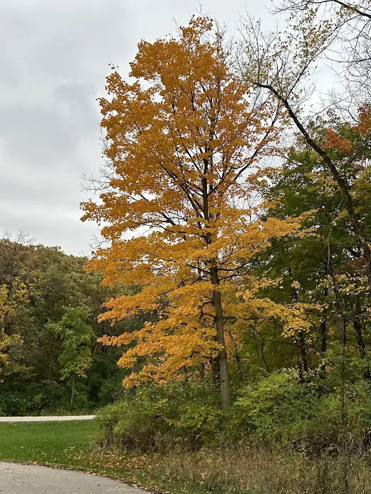 Hickory Hills Picture 5