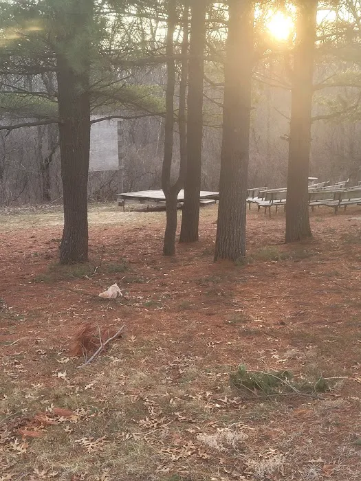 Plum Grove Picture 2