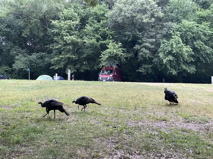 Plum Grove Picture 7