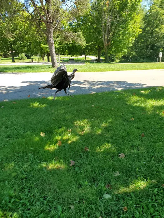 Plum Grove Picture 10