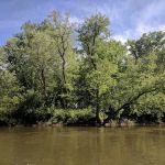 Rockford Christian Camp