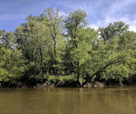 Rockford Christian Camp