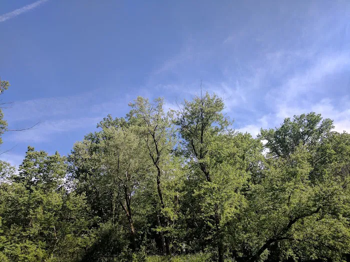 Rockford Christian Camp Picture 5