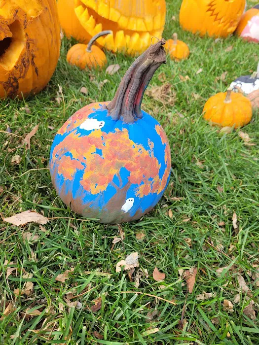 Rustic Falls Nature Camp Picture 1