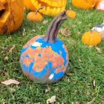 Rustic Falls Nature Camp