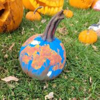 Rustic Falls Nature Camp ico