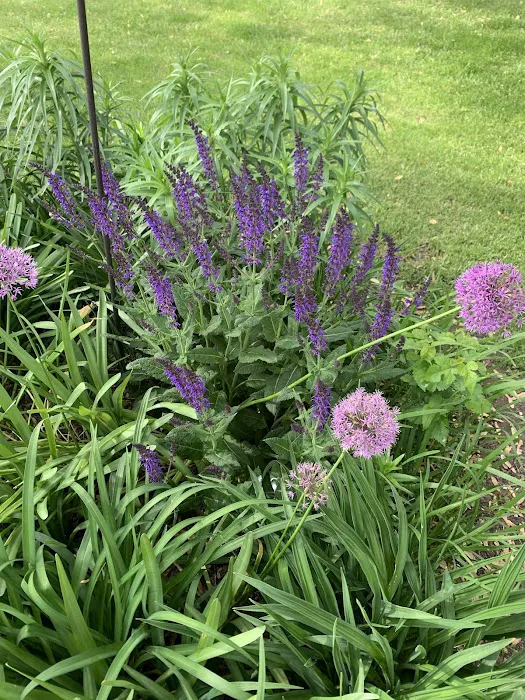 Camp A While Picture 4