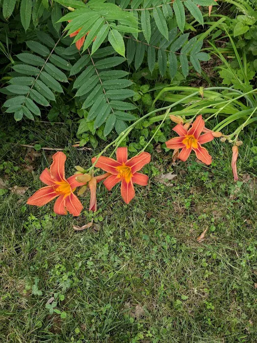 Kentuckiana Kampground Picture 10