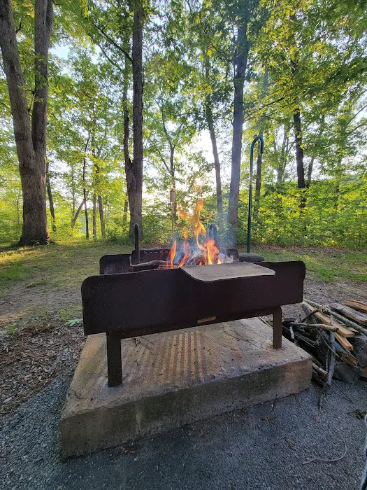 Bo Wood Campground Picture 8