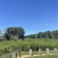 Okaw Bluff Group Camp ico