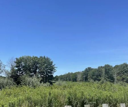 Okaw Bluff Group Camp