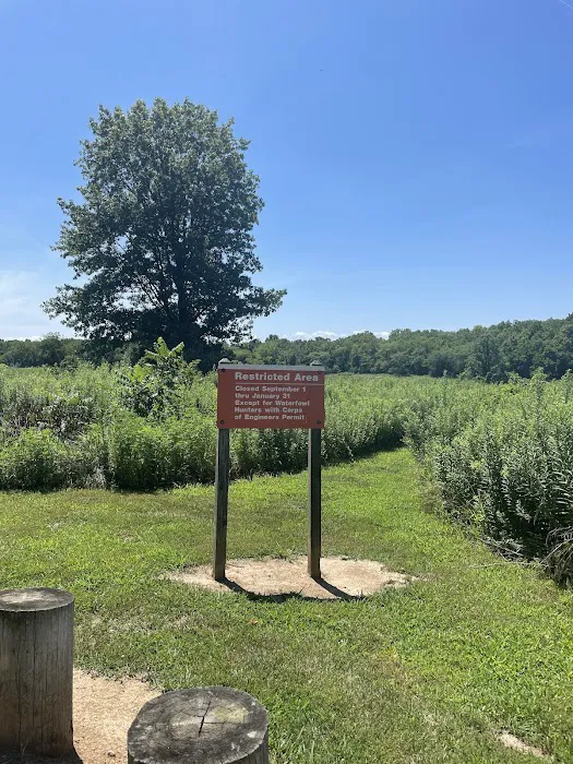 Okaw Bluff Group Camp Picture 2